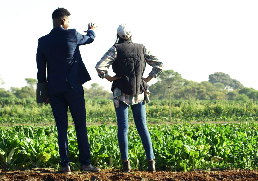 Back, conversation and people at farm for sustainability teamwork, agreement or collaboration. Discussion, planning and businessman with woman, inspection and quality assurance for support or trust
